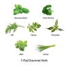 SED005 Aerogarden Italian Herbs Seed Pod Kit2
