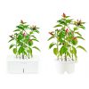 GRD040 Click and Grow Chili Pepper Starter Kit