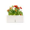 GRD041 Click and Grow Tomato starter kit